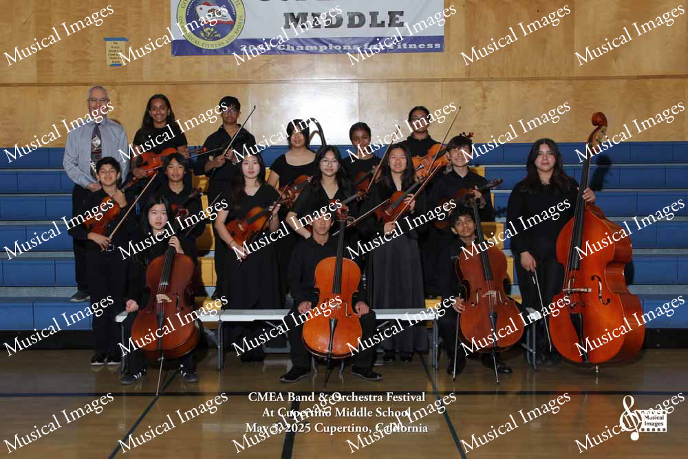 Musical Images